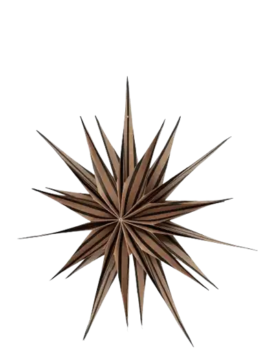 OYOY Toppu Christmas Star